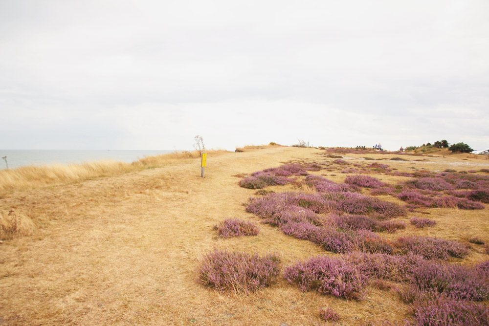 Dunwich Heath, Suffolk 