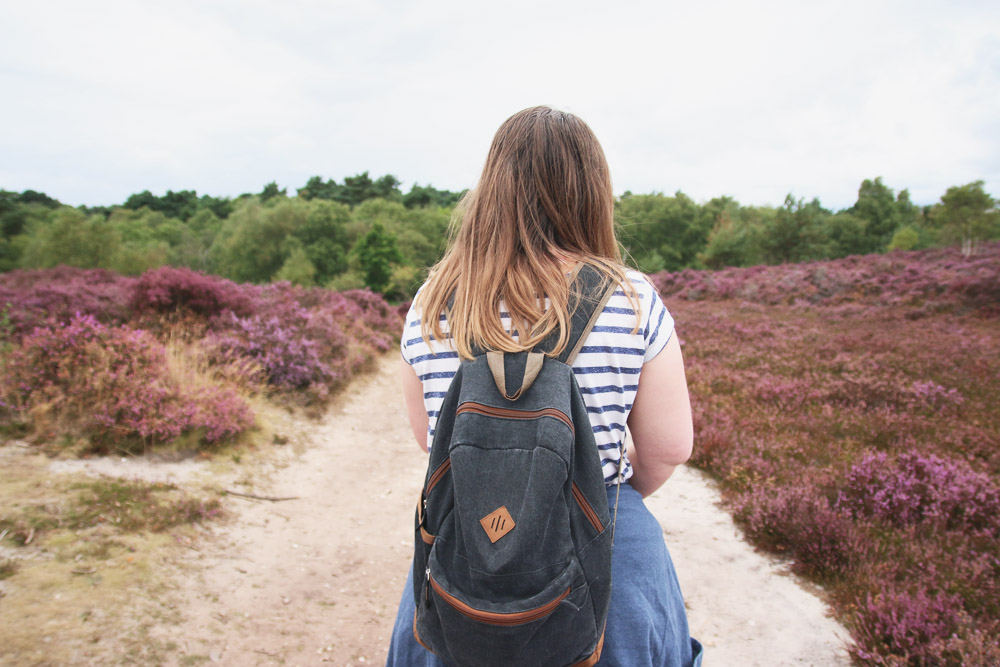 Dunwich Heath, Suffolk 