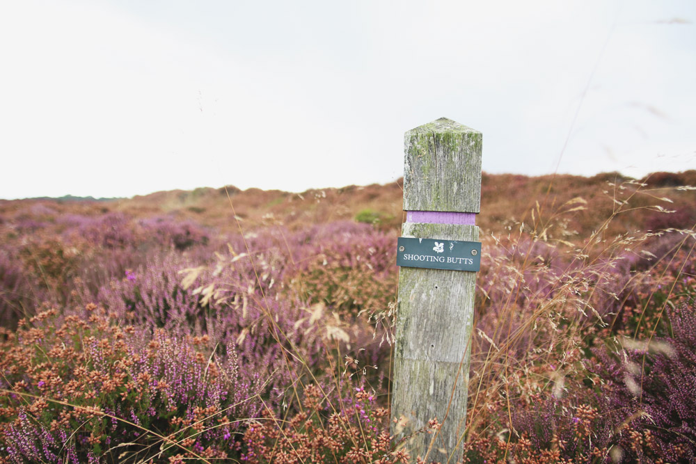 Dunwich Heath, Suffolk 