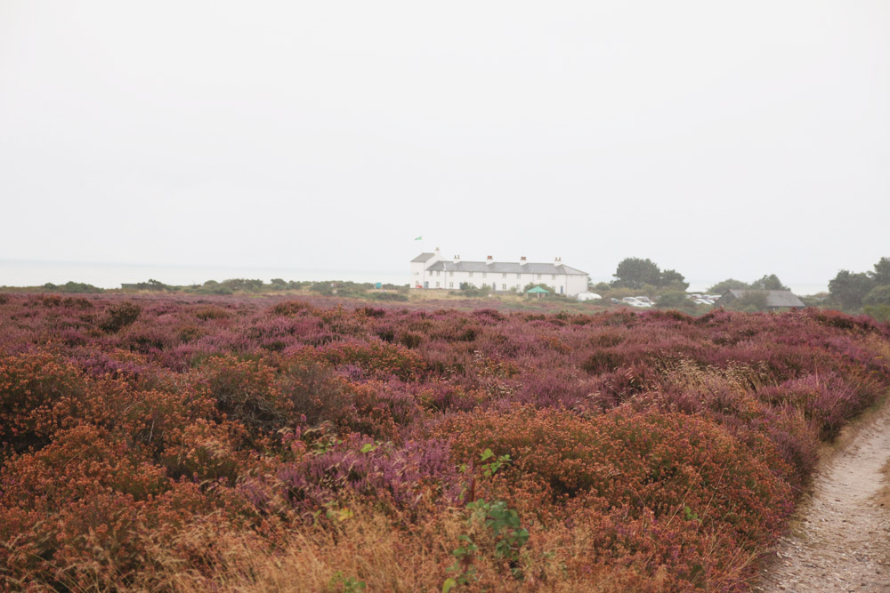 Dunwich Heath, Suffolk 