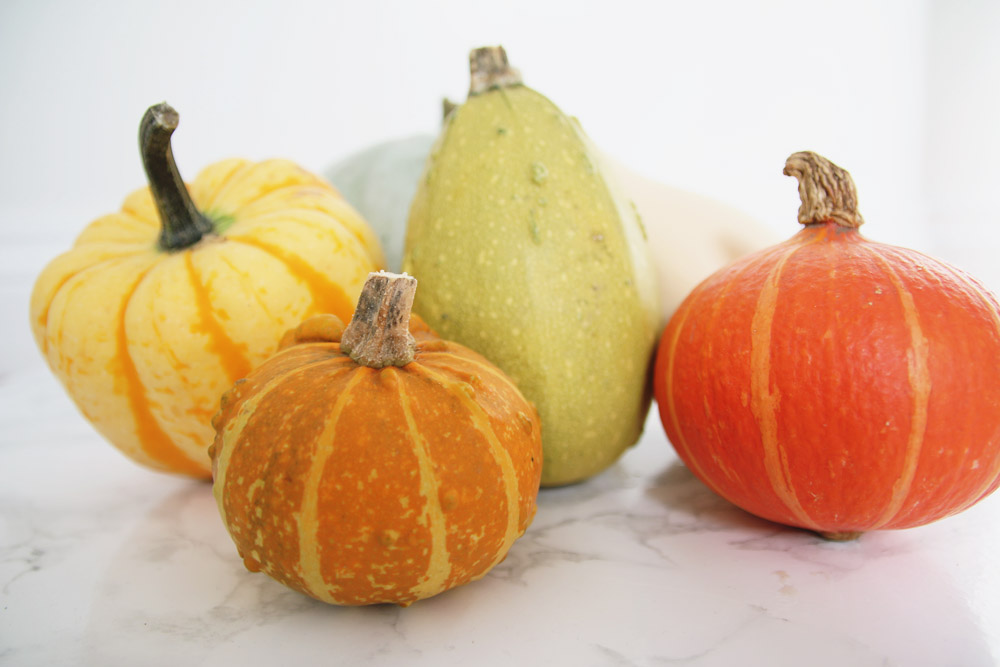 Pumpkins & Gourds