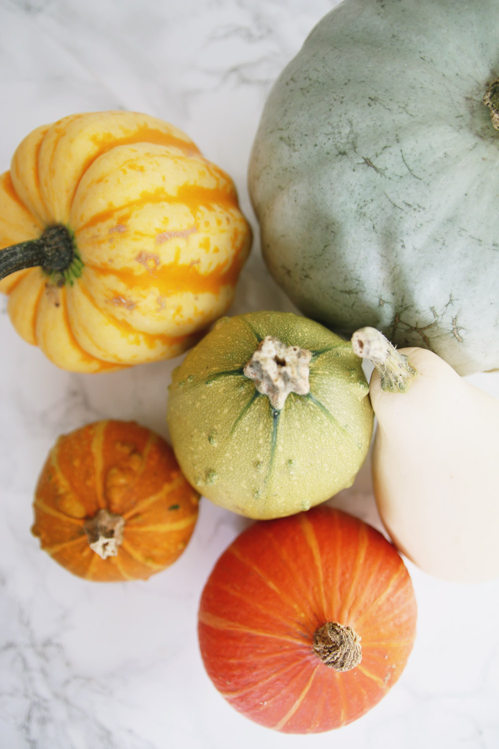 Pumpkins & Gourds