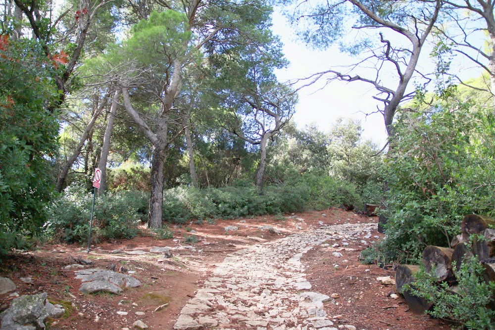 Lokrum Island, Dubrovnik - Croatia