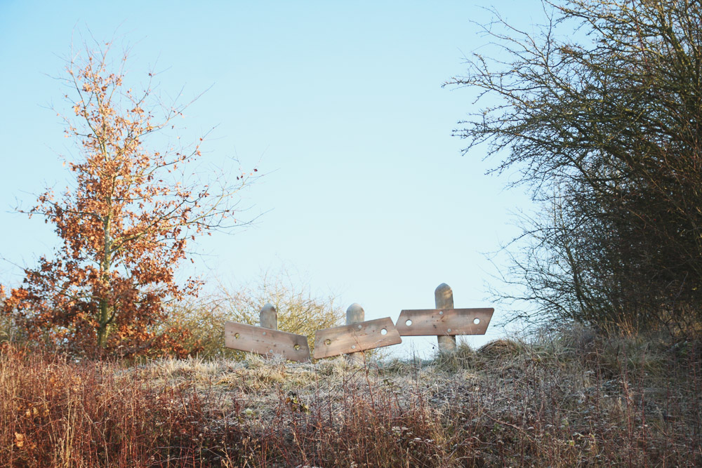 Frosty Winter Walks 