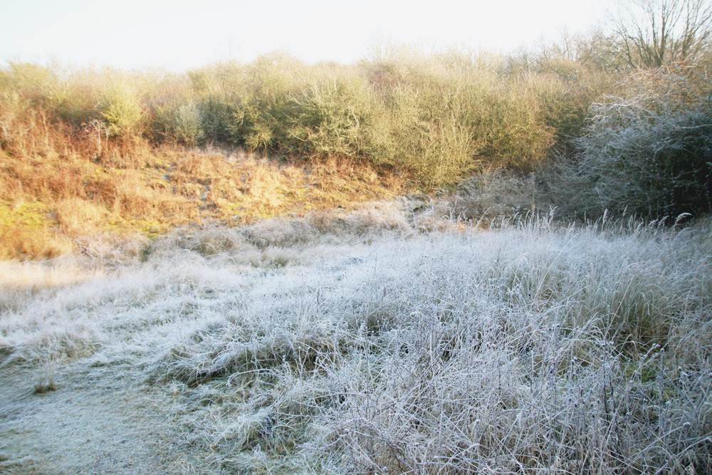 Frosty Winter Walks 