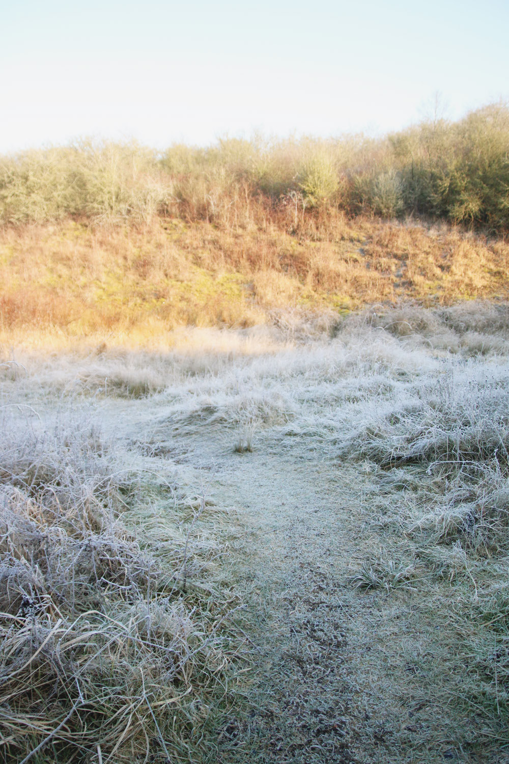 Frosty Winter Walks 