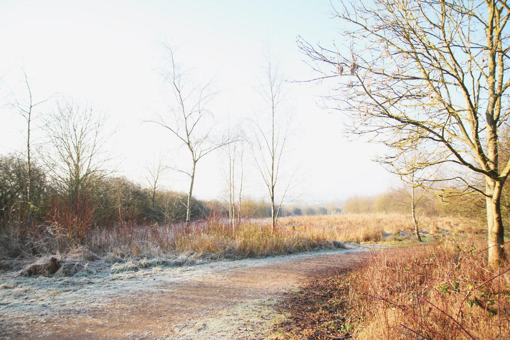 Frosty Winter Walks 