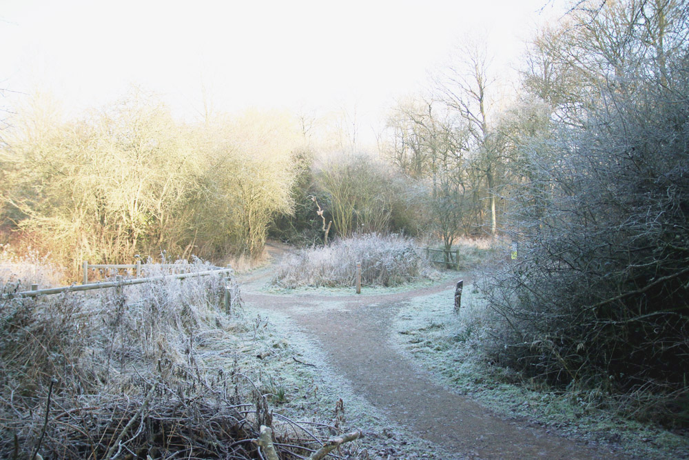 Frosty Winter Walks 