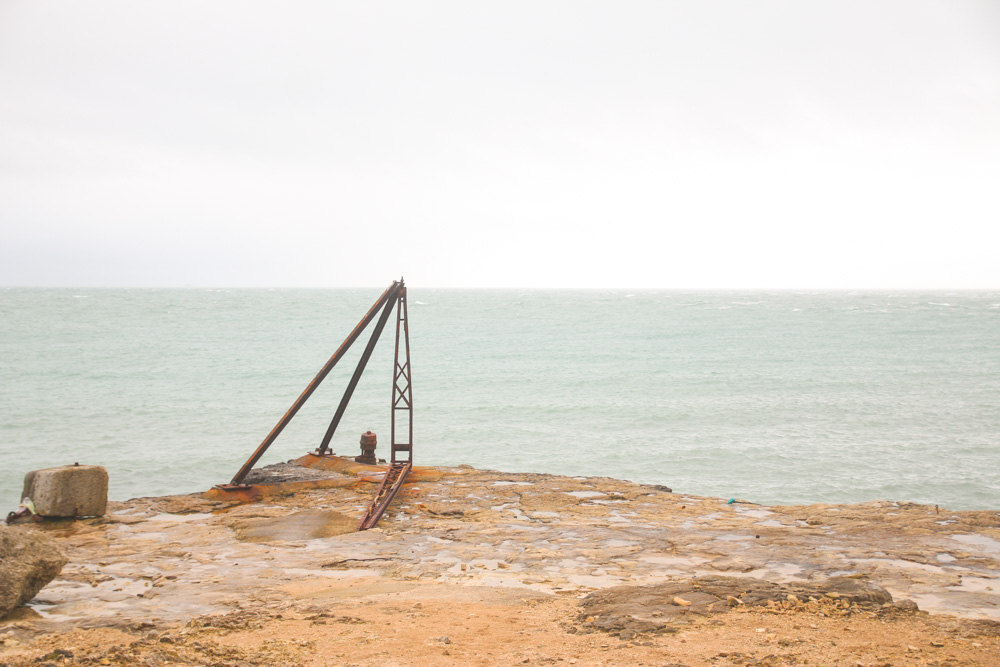 Red Crane, Portland Bill - Isle of Portland 