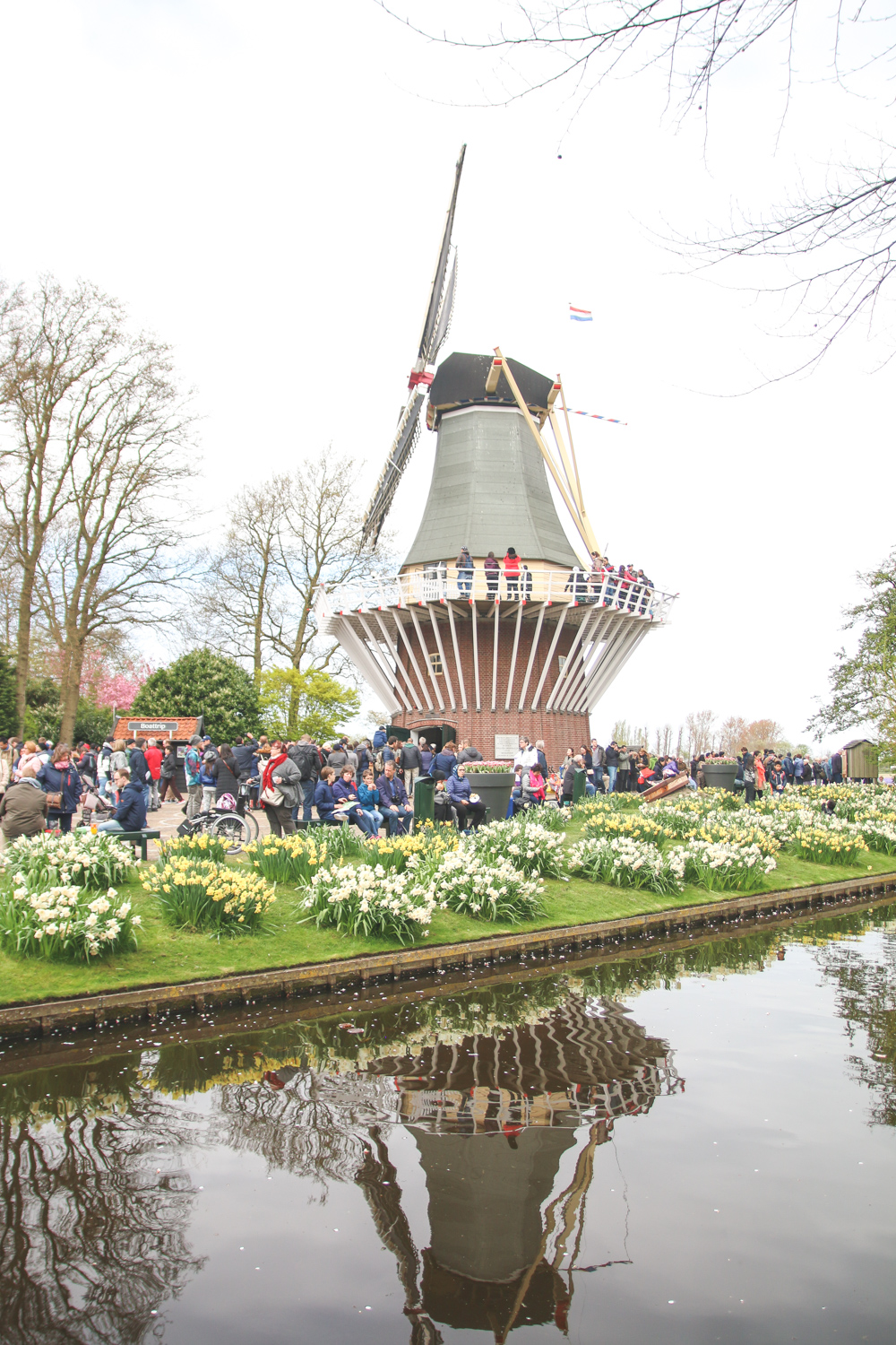 Windmill at Keukenhof Gardens, Holland