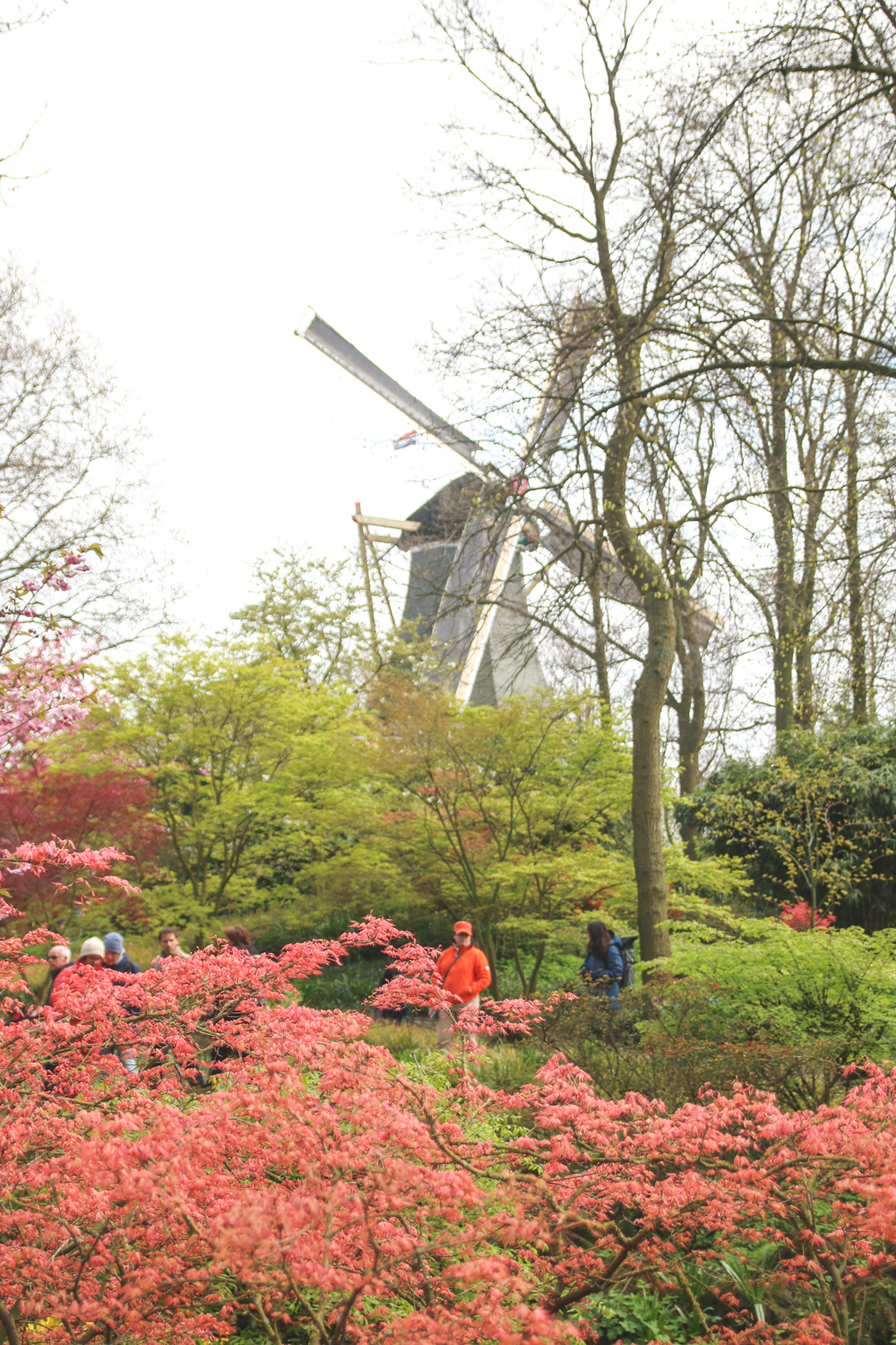 Windmill at Keukenhof Gardens, Holland