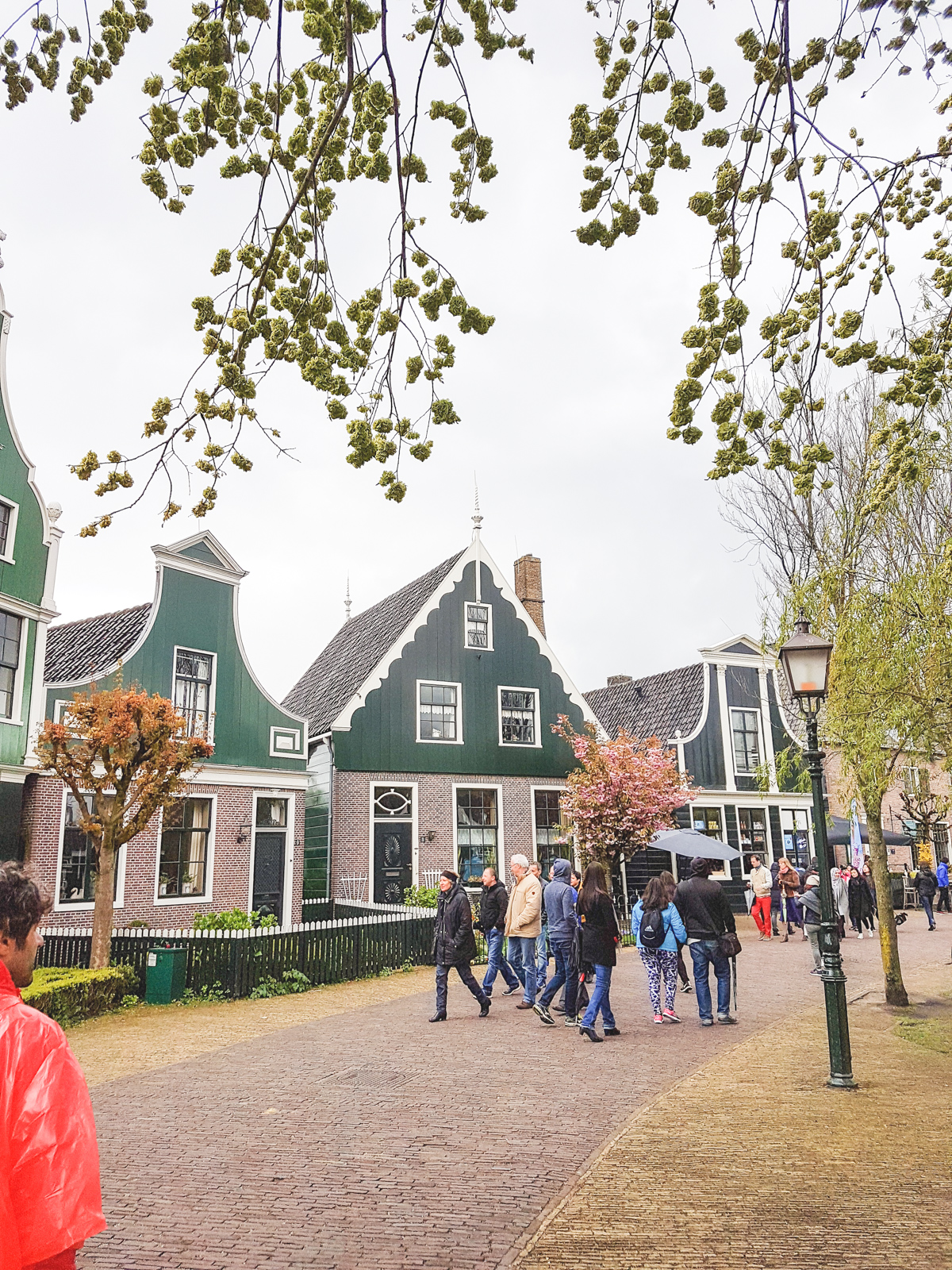 Houses at Zaanse Schans, Holland, The Netherlands