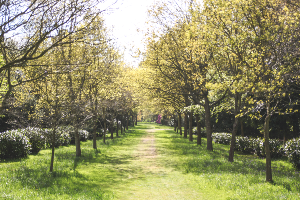 Blickling Estate, Norfolk