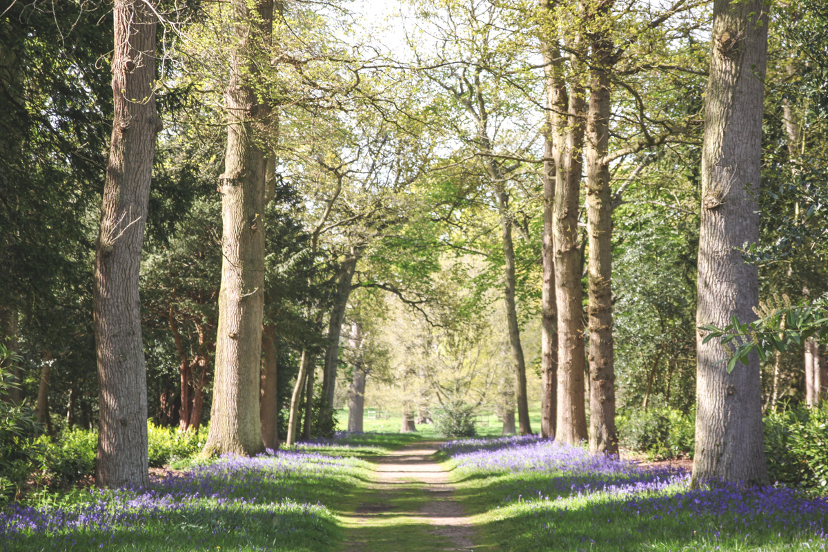 Blickling Estate, Norfolk