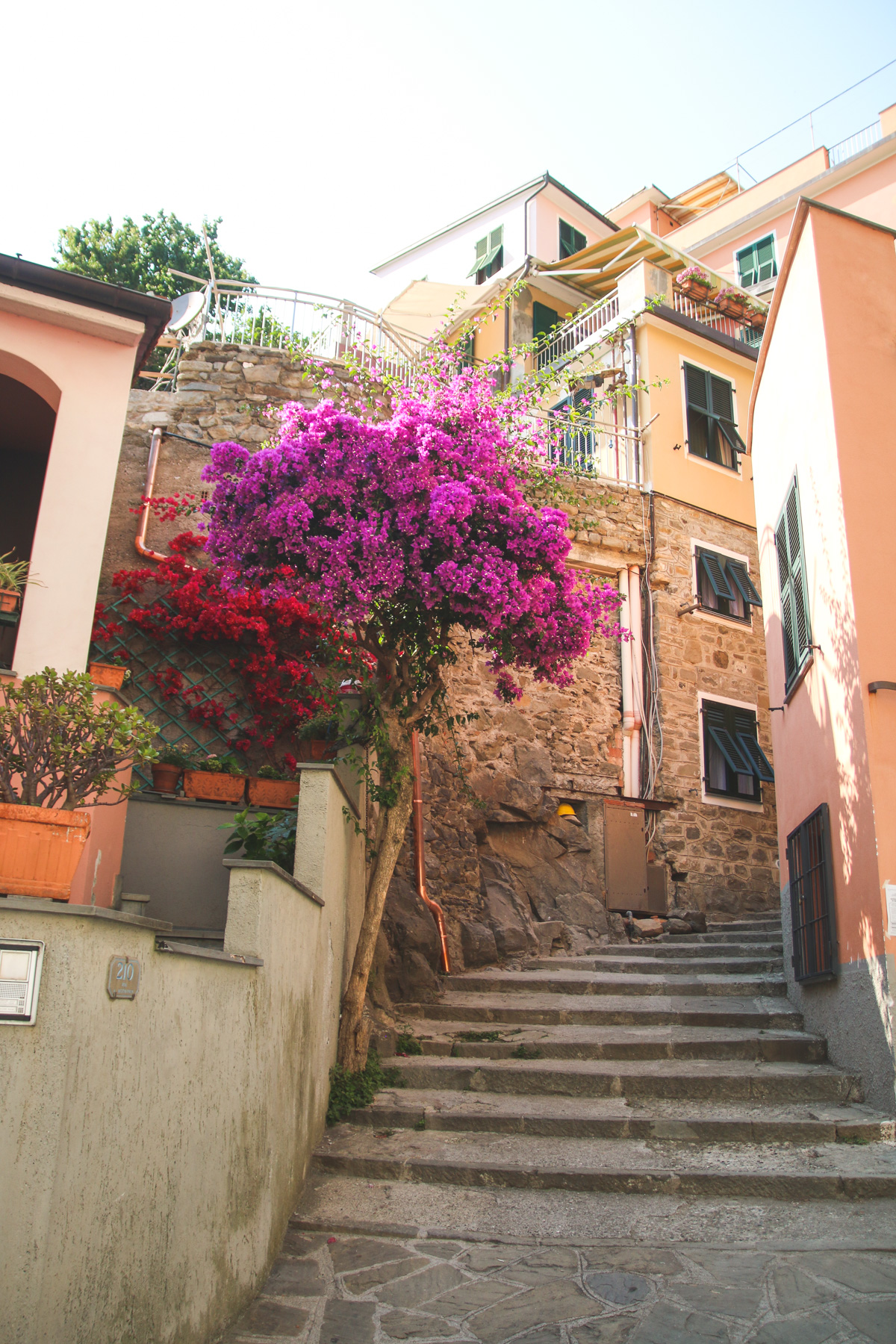 Wandering the Colourful Backstreets of Manarola in Cinque Terre, Liguria, Italy