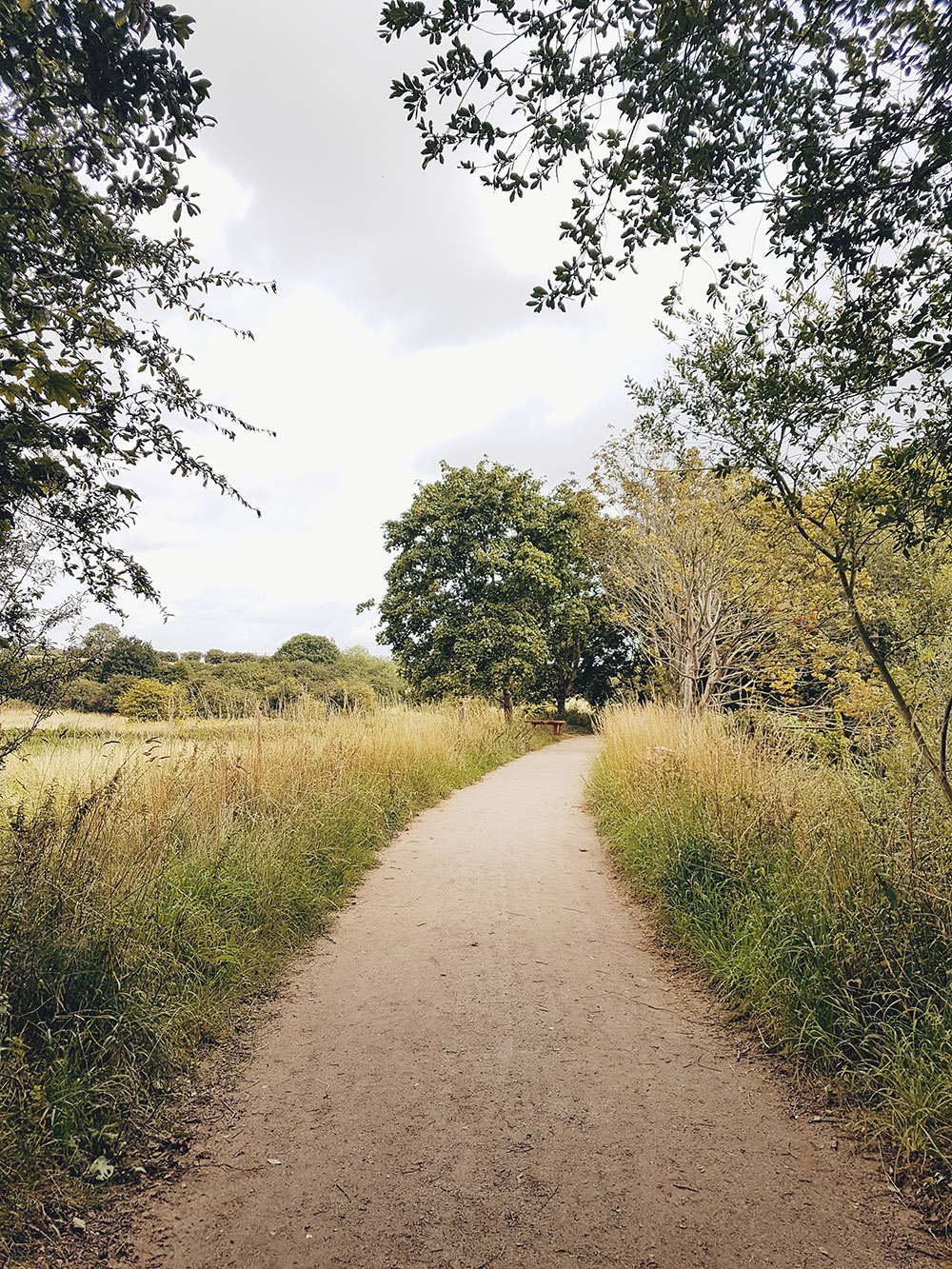 Rushden Lakes Shopping Centre Nature Walk