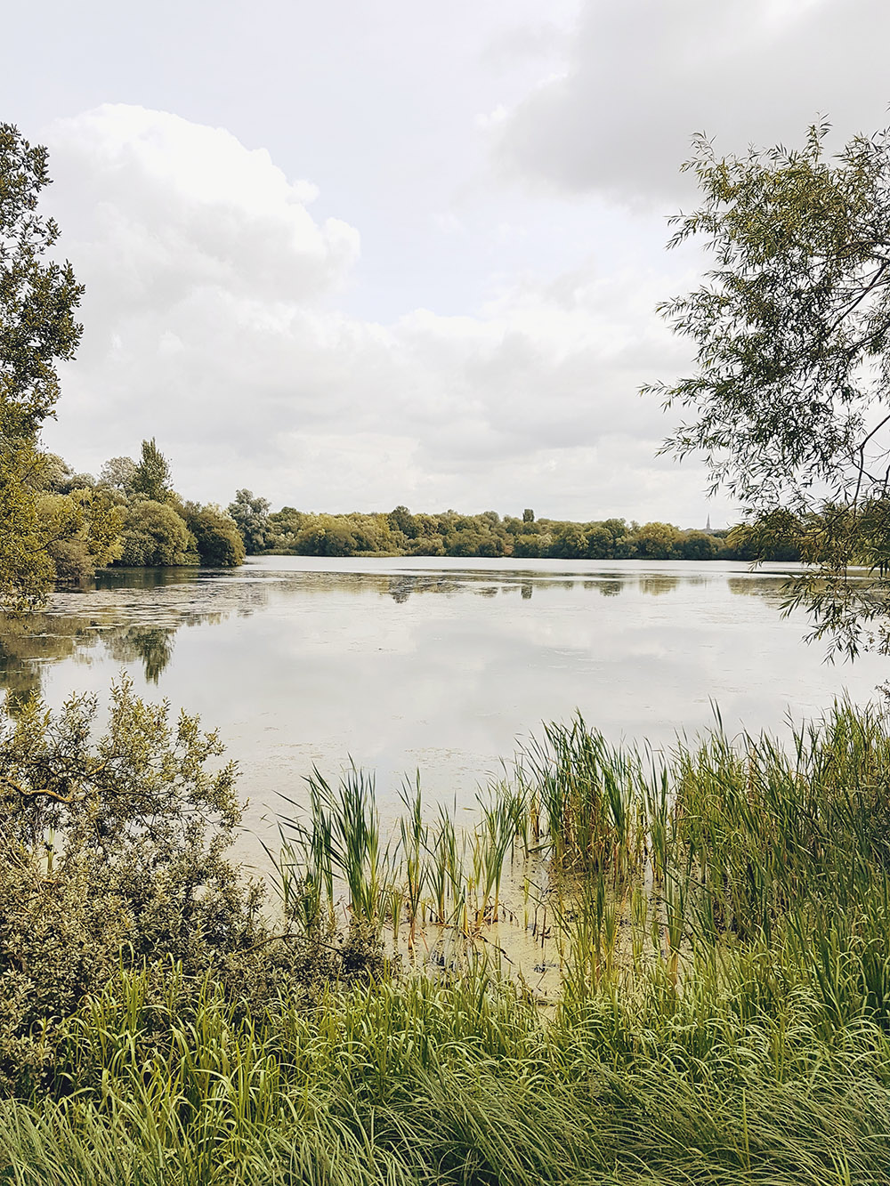 Rushden Lakes Shopping Centre Nature Walk