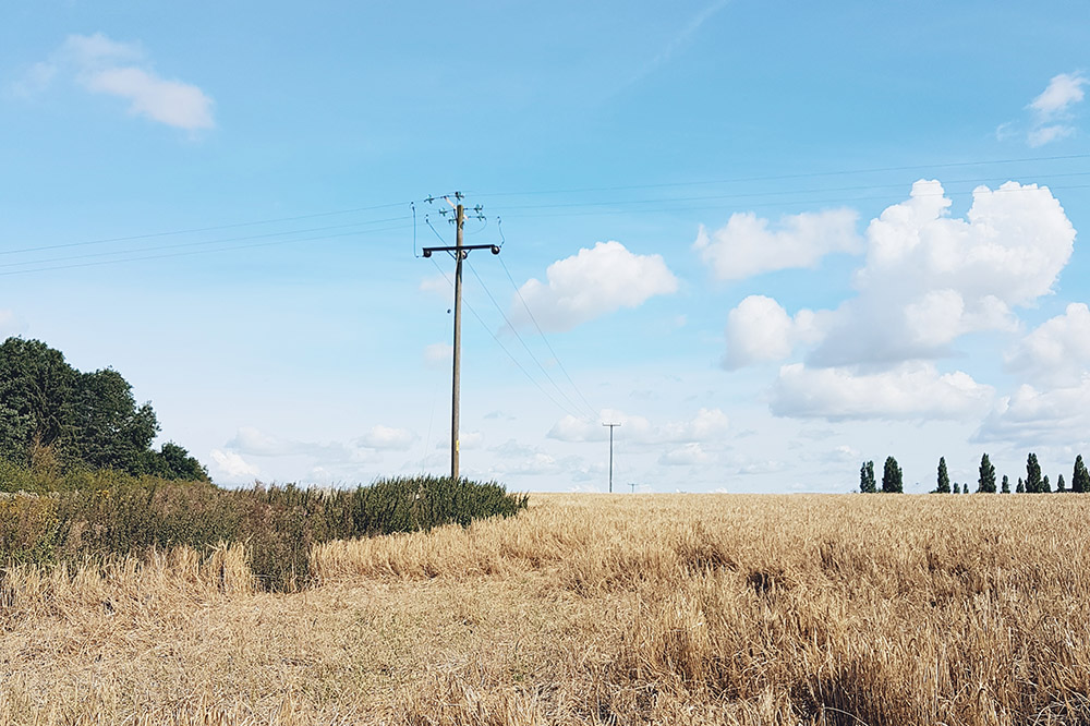 Summer walks in the countryside