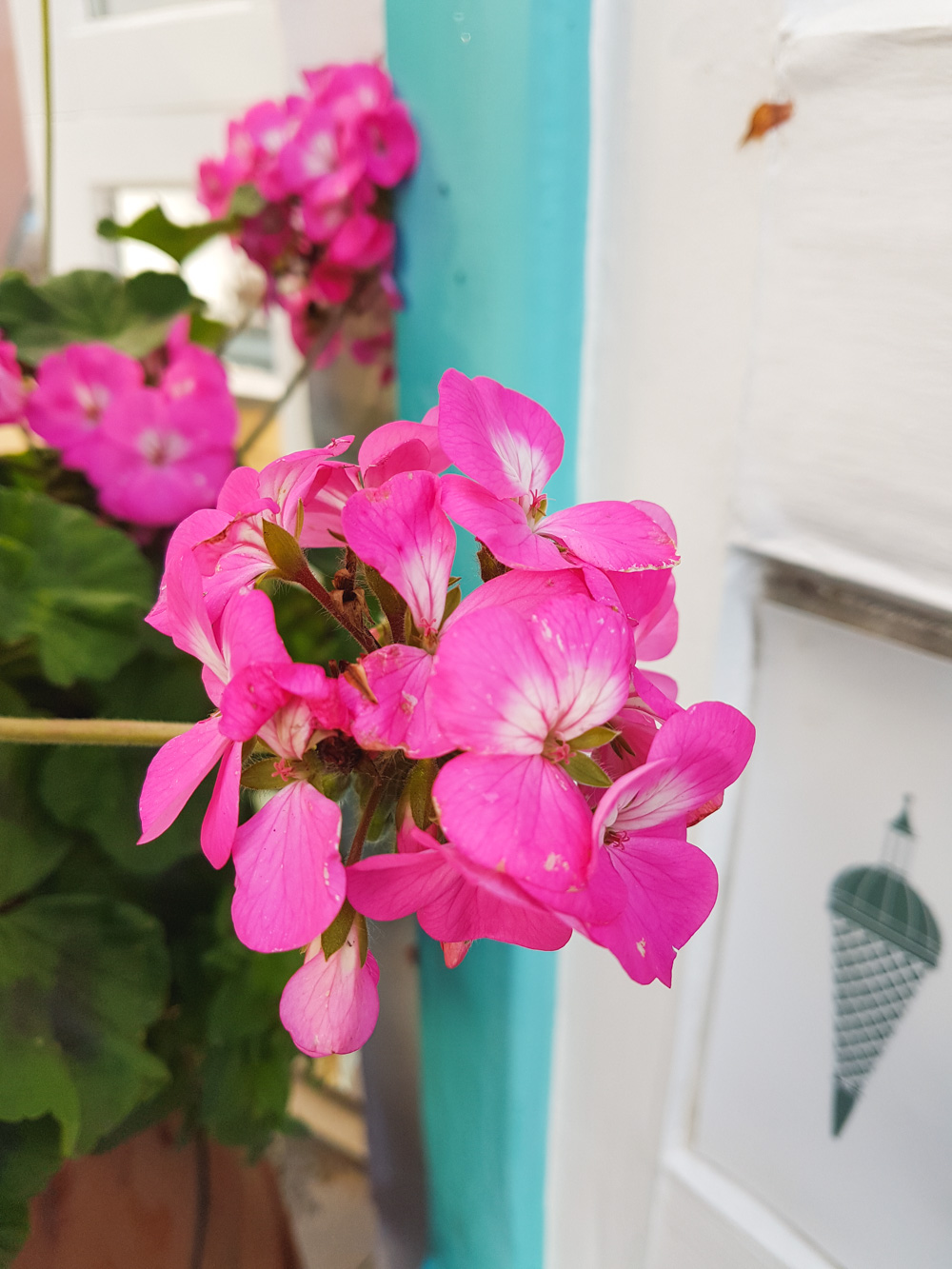 Portmeirion, North Wales