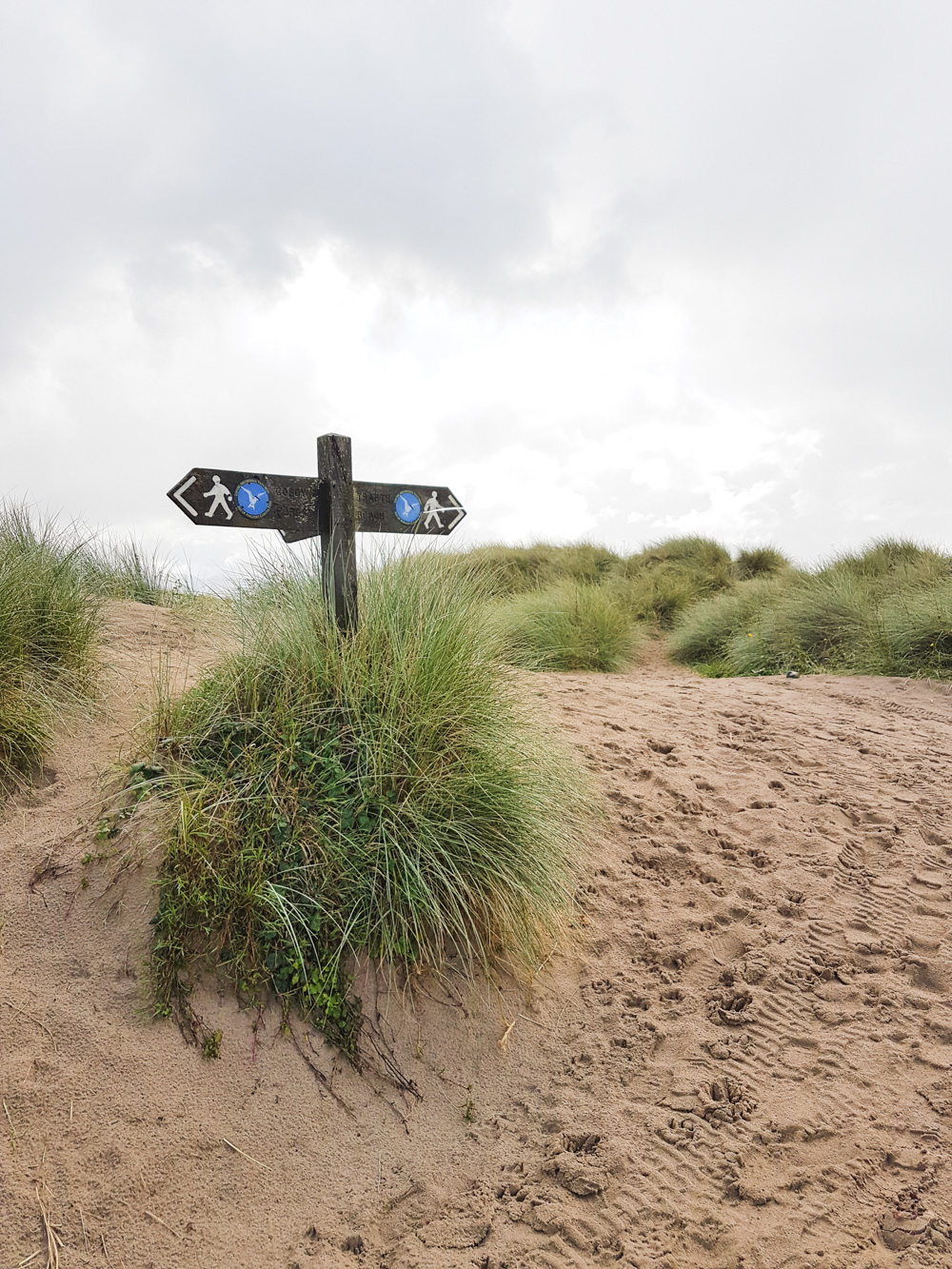 Llanddwyn Beach, Newborough Beach, Anglesey, Wales