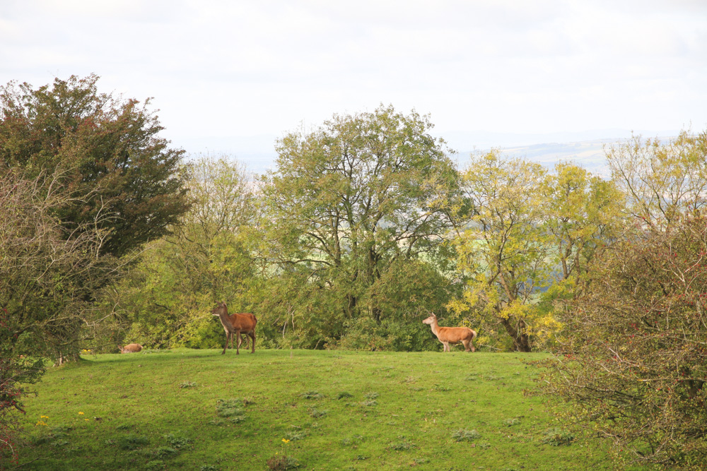 Broadway Tower Walk along the Cotswold Way, The Cotswolds