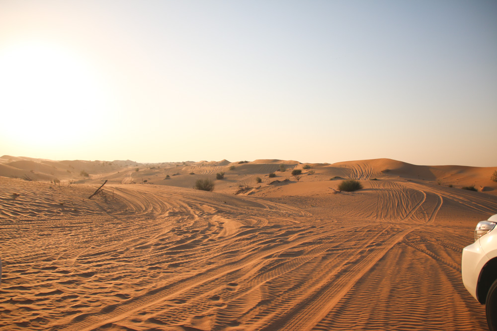 Sunset Safari in the Dubai Desert