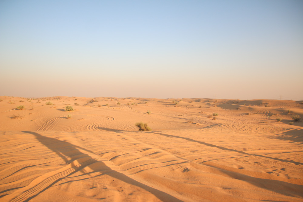 Sunset Safari in the Dubai Desert