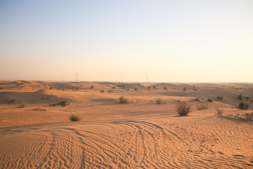 Sunset Safari in the Dubai Desert