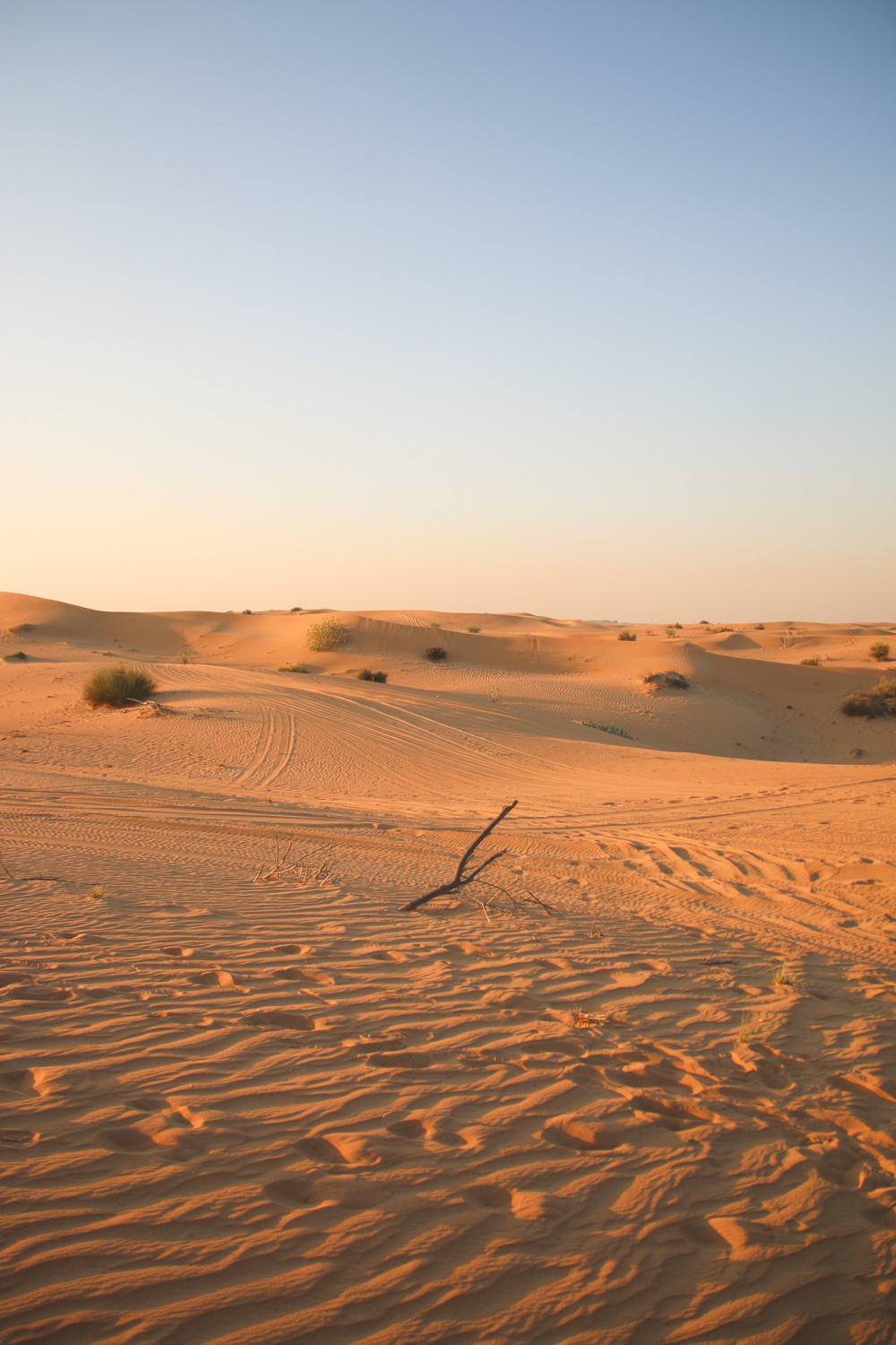 Sunset Safari in the Dubai Desert