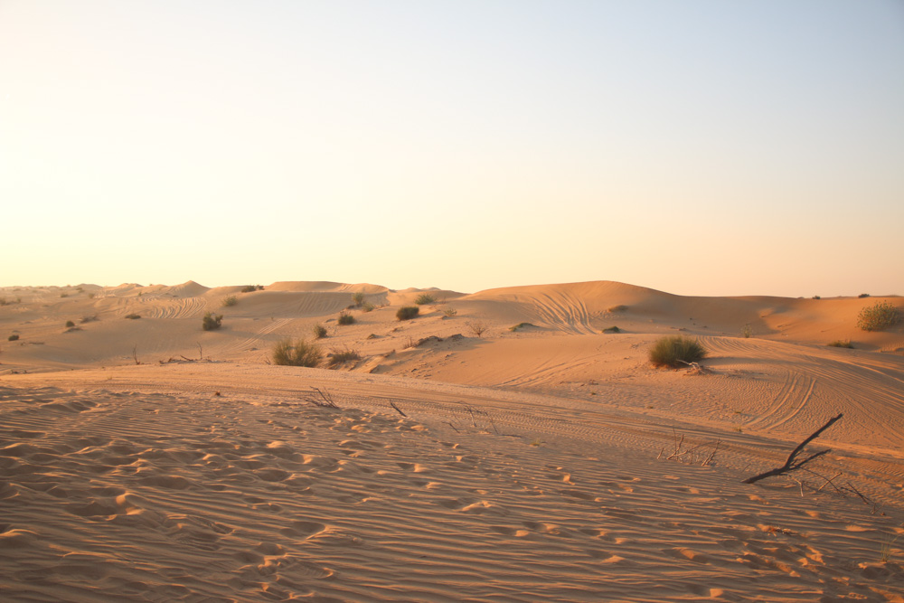 Sunset Safari in the Dubai Desert