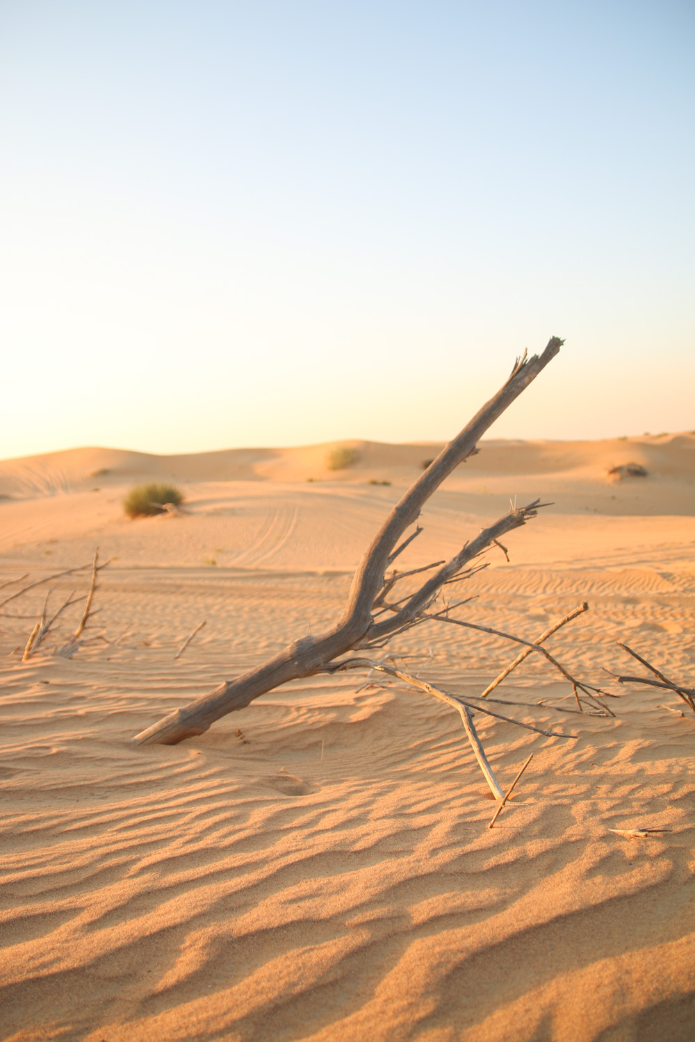 Sun Setting over the sand dunes in the Dubai Desert