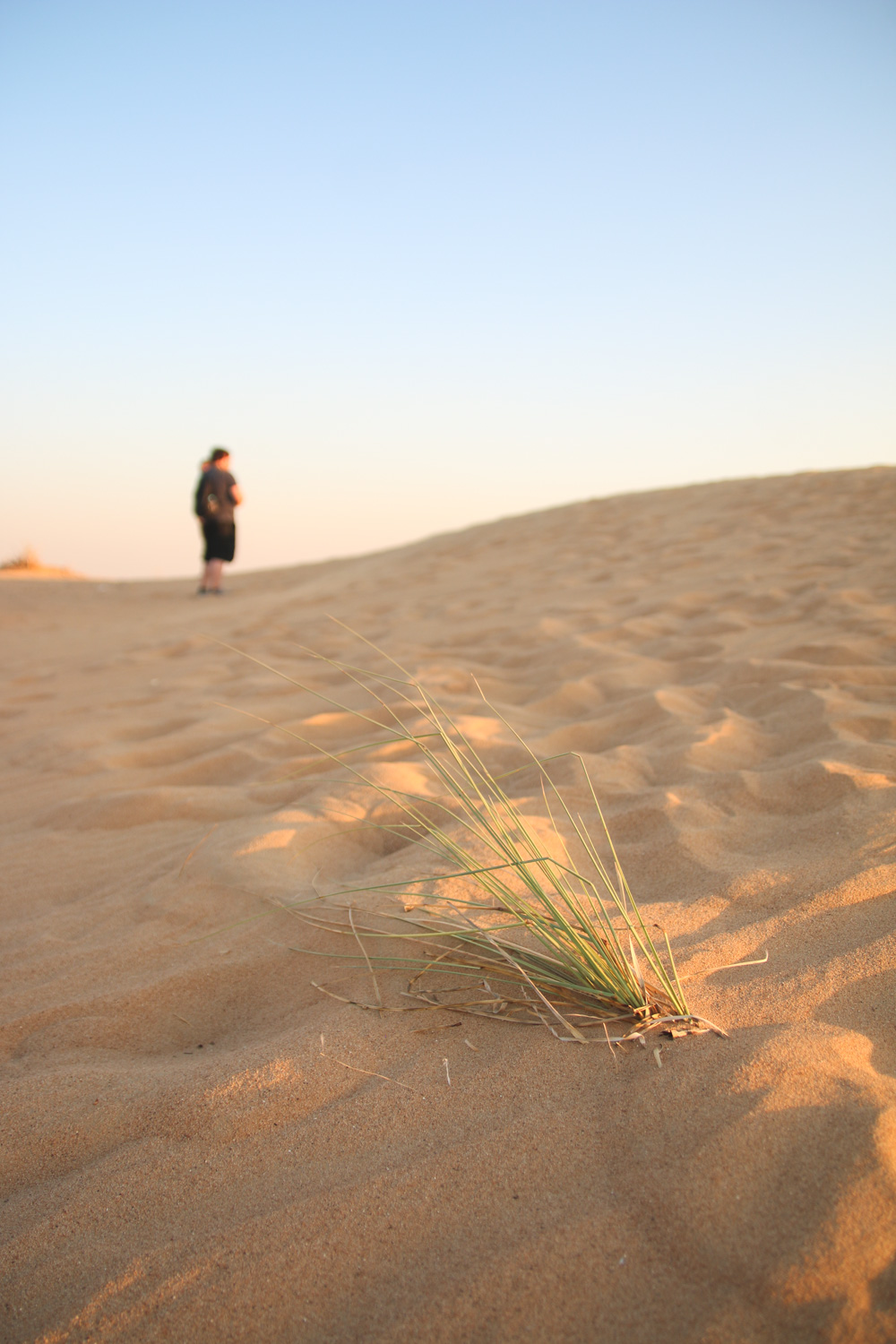 Sun Setting over the sand dunes in the Dubai Desert