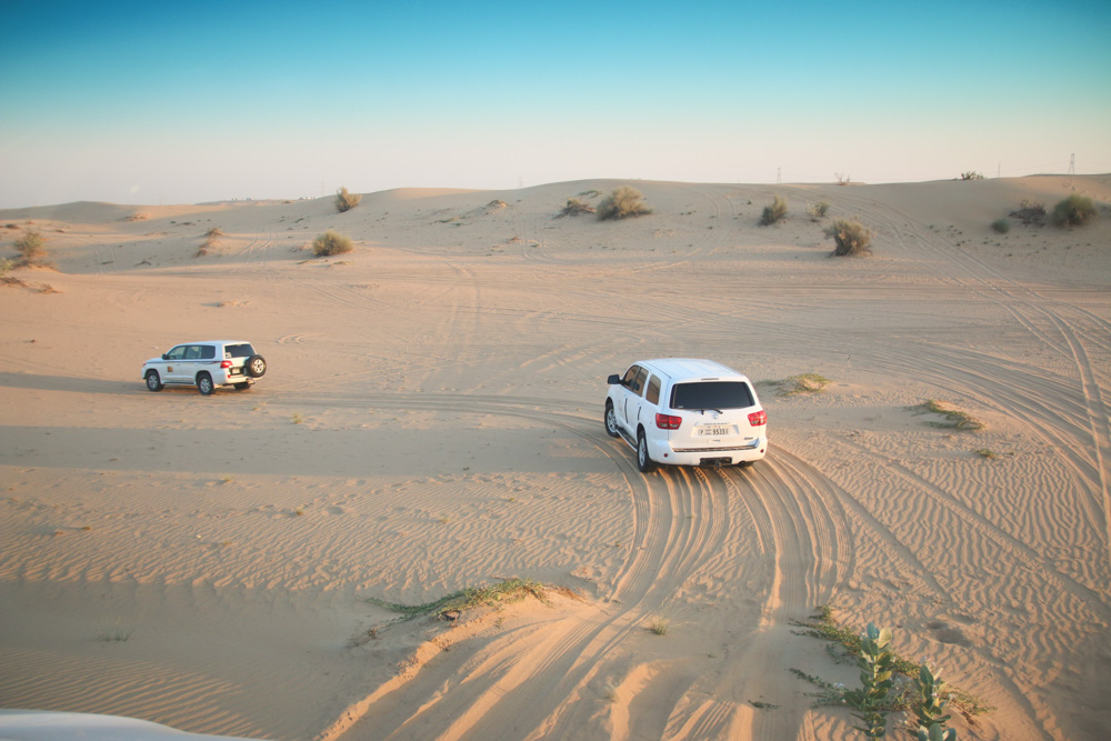 4x4 Dune Bashing Trip, Dubai