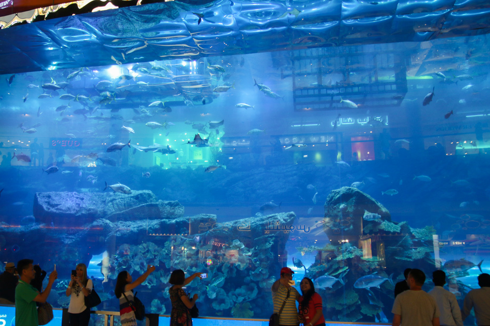 Dubai Mall Aquarium