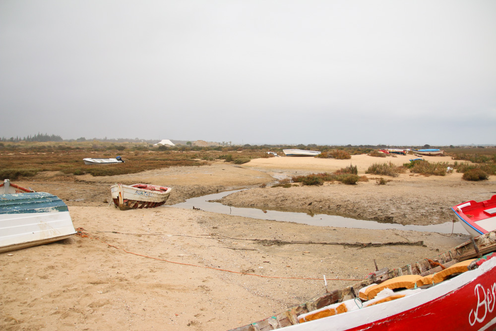 Boats in Santa Luzia, Portugal