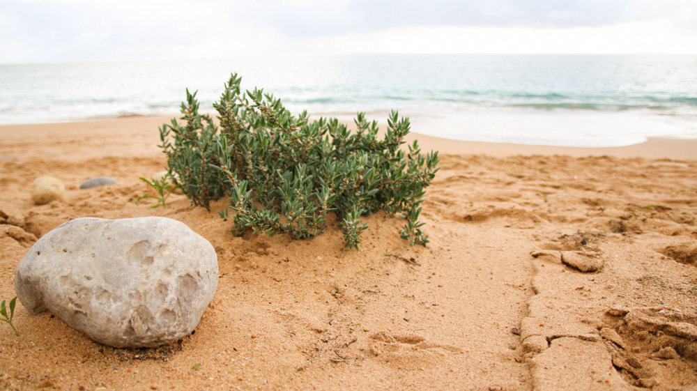 Sagres Beach, The Algarve, Portugal