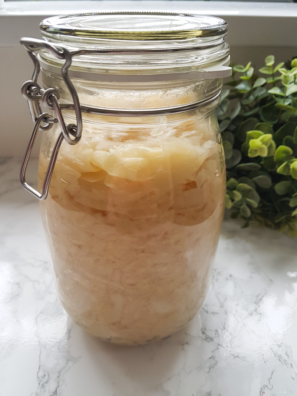 Homemade Sourkraut