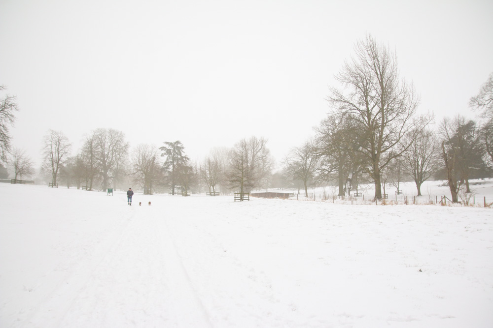 The Beast From the East