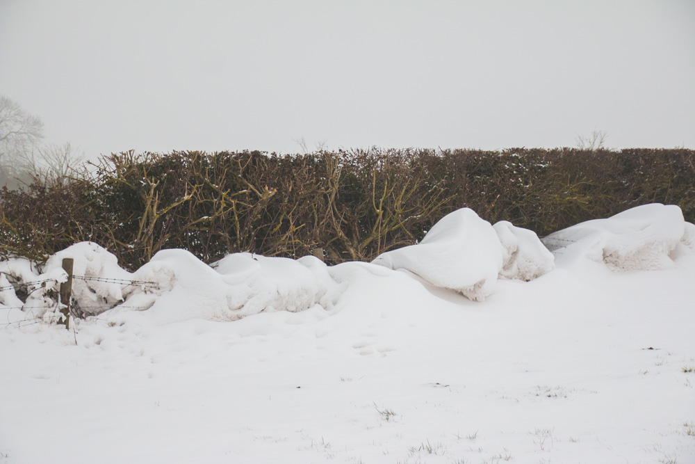 The Beast From the East Snow Drifts