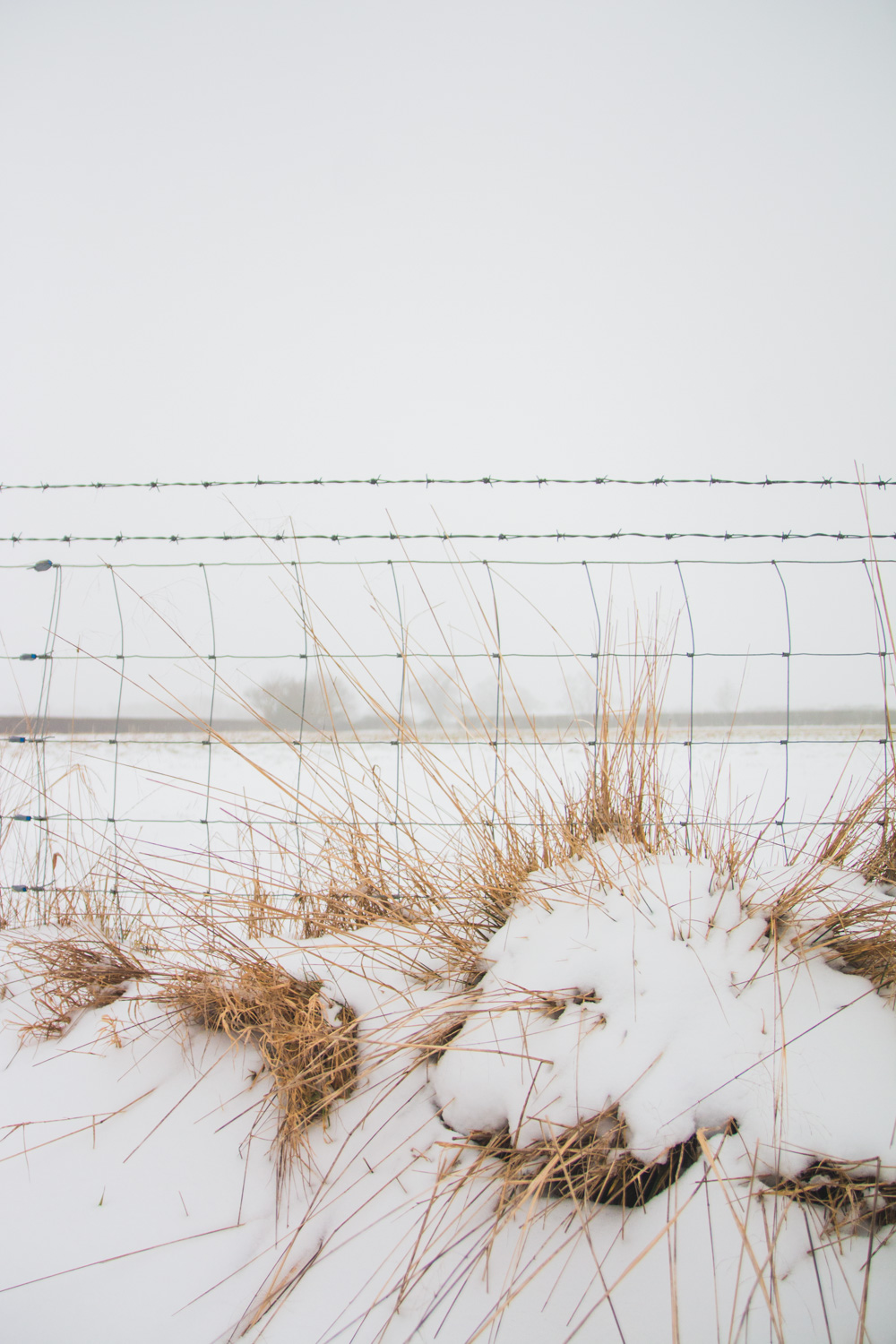 The Beast From the East Snow Drifts