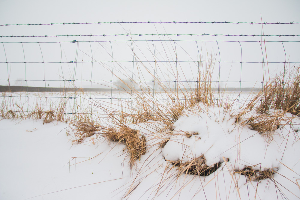 The Beast From the East Snow Drifts