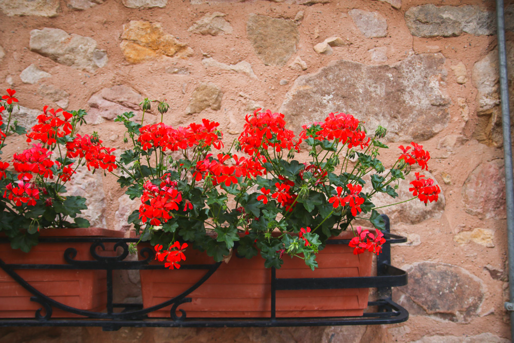 Eguisheim near Colmar in France