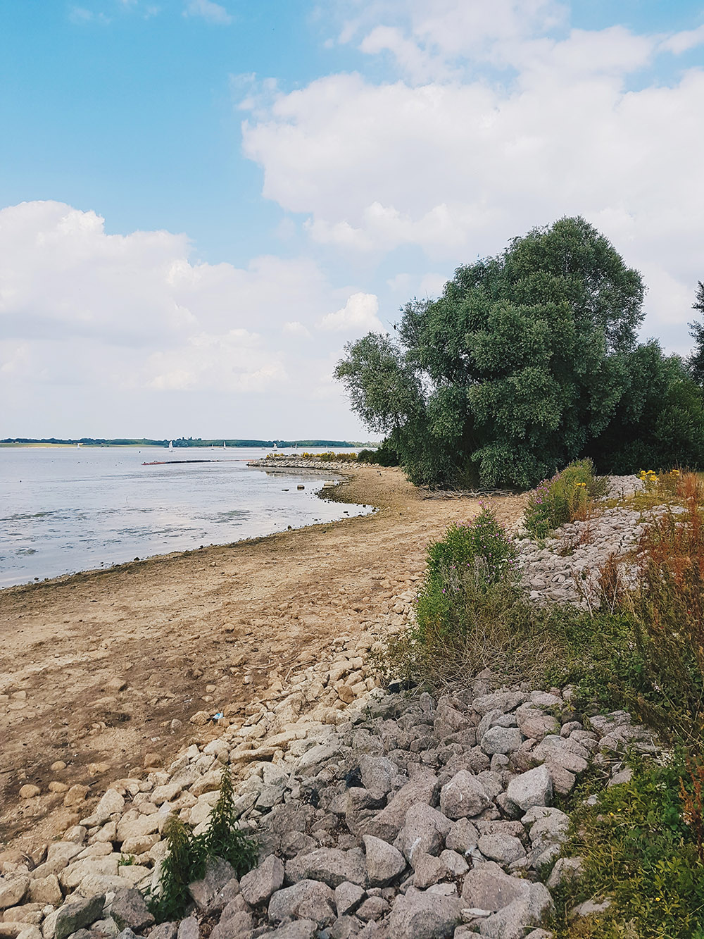 Grafham Water Summer Picnic