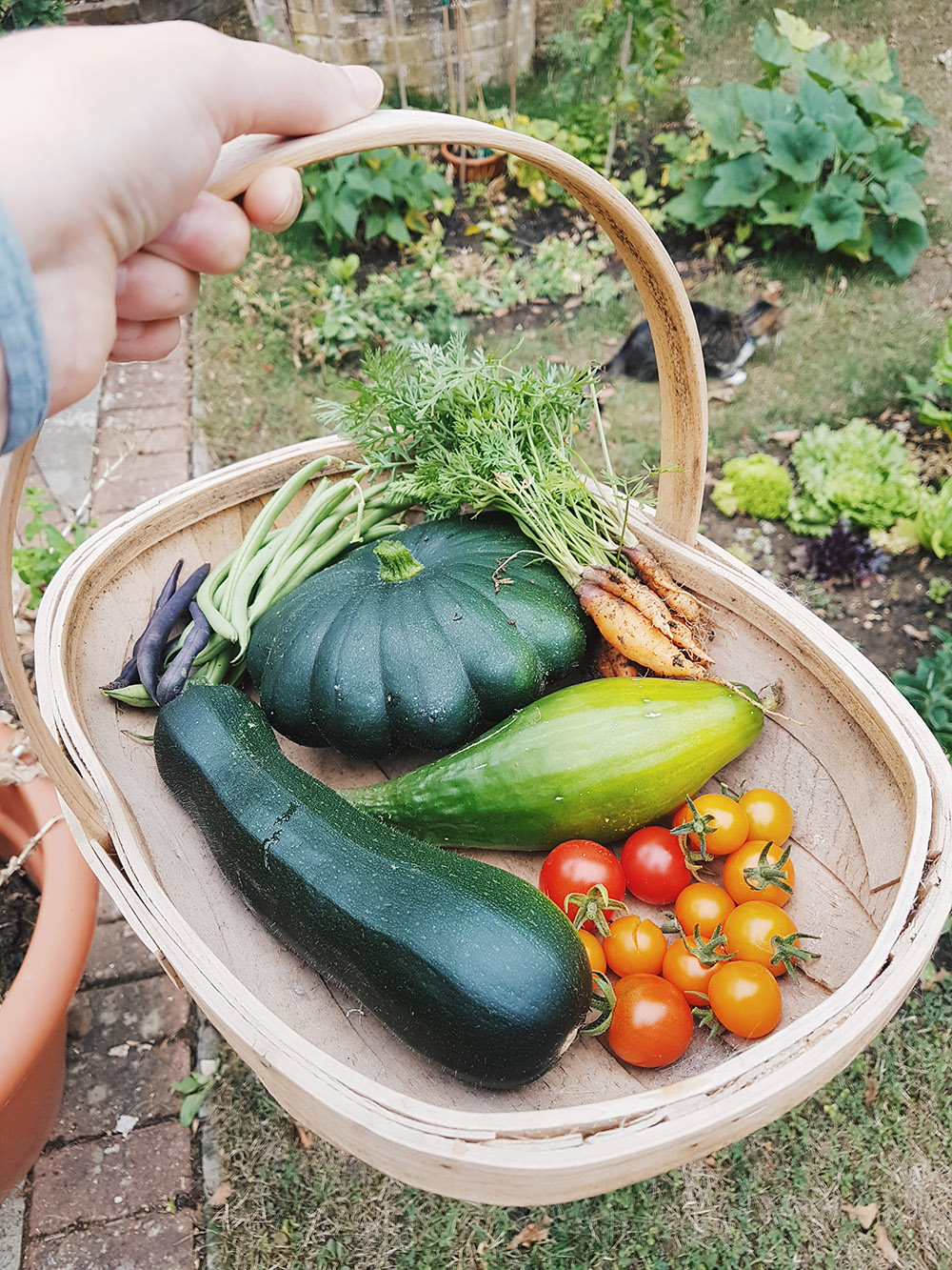 Vegetable Garden Harvest