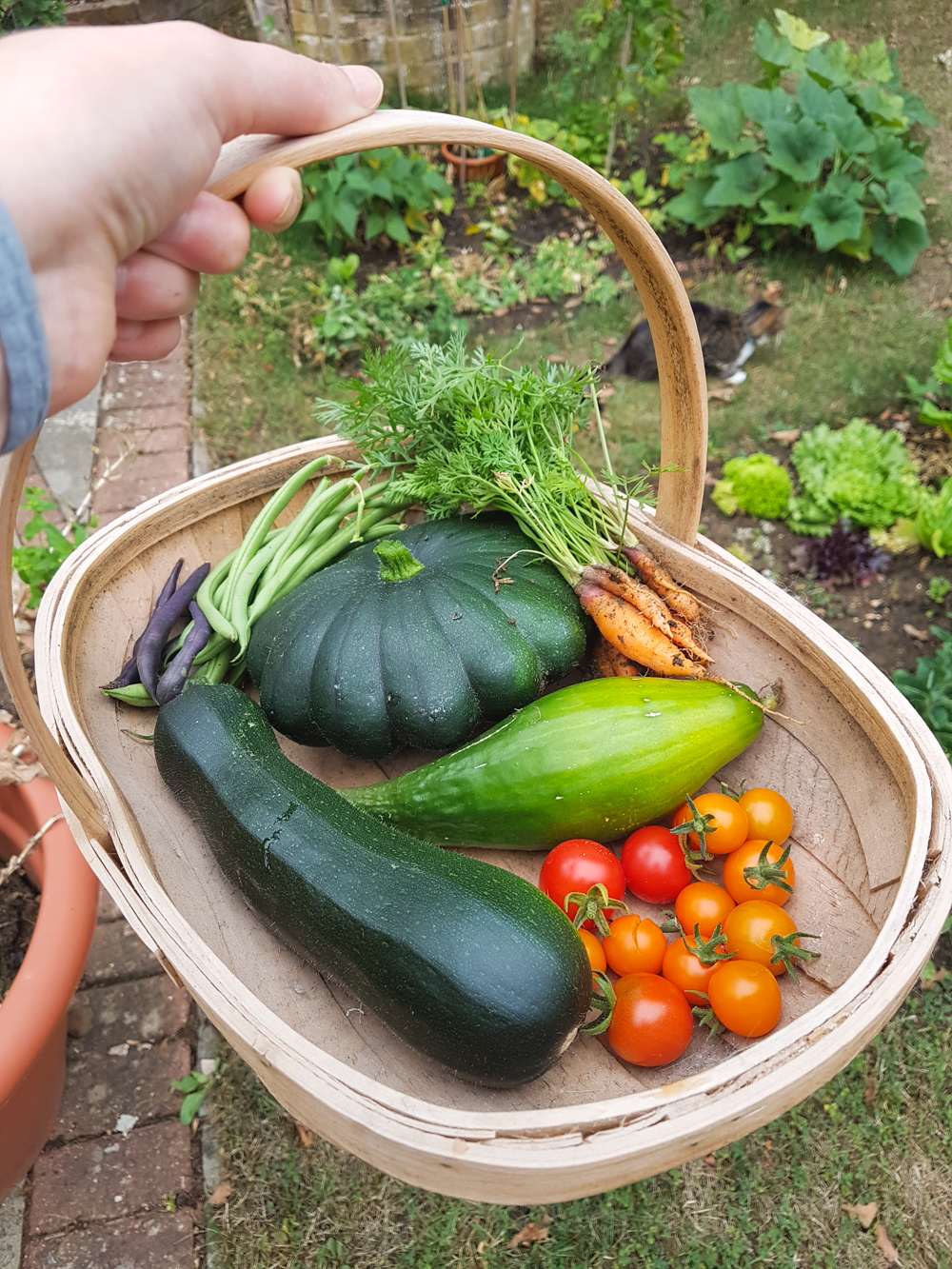 Mini Garden Harvest - 2018