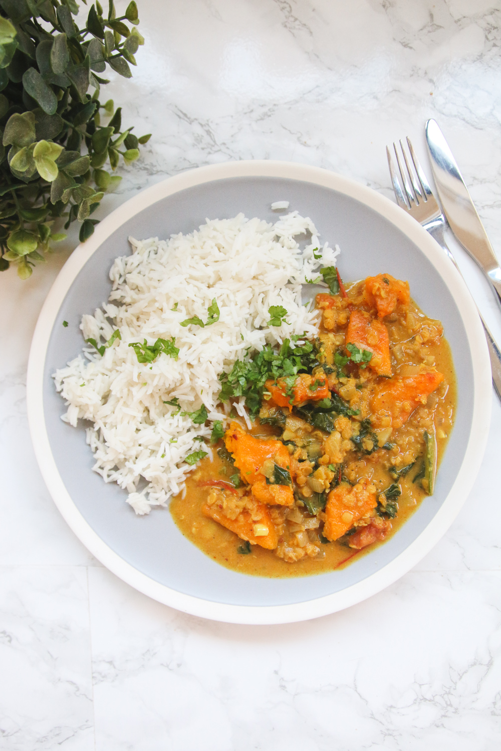 Vegan Pumpkin & Lentil Curry