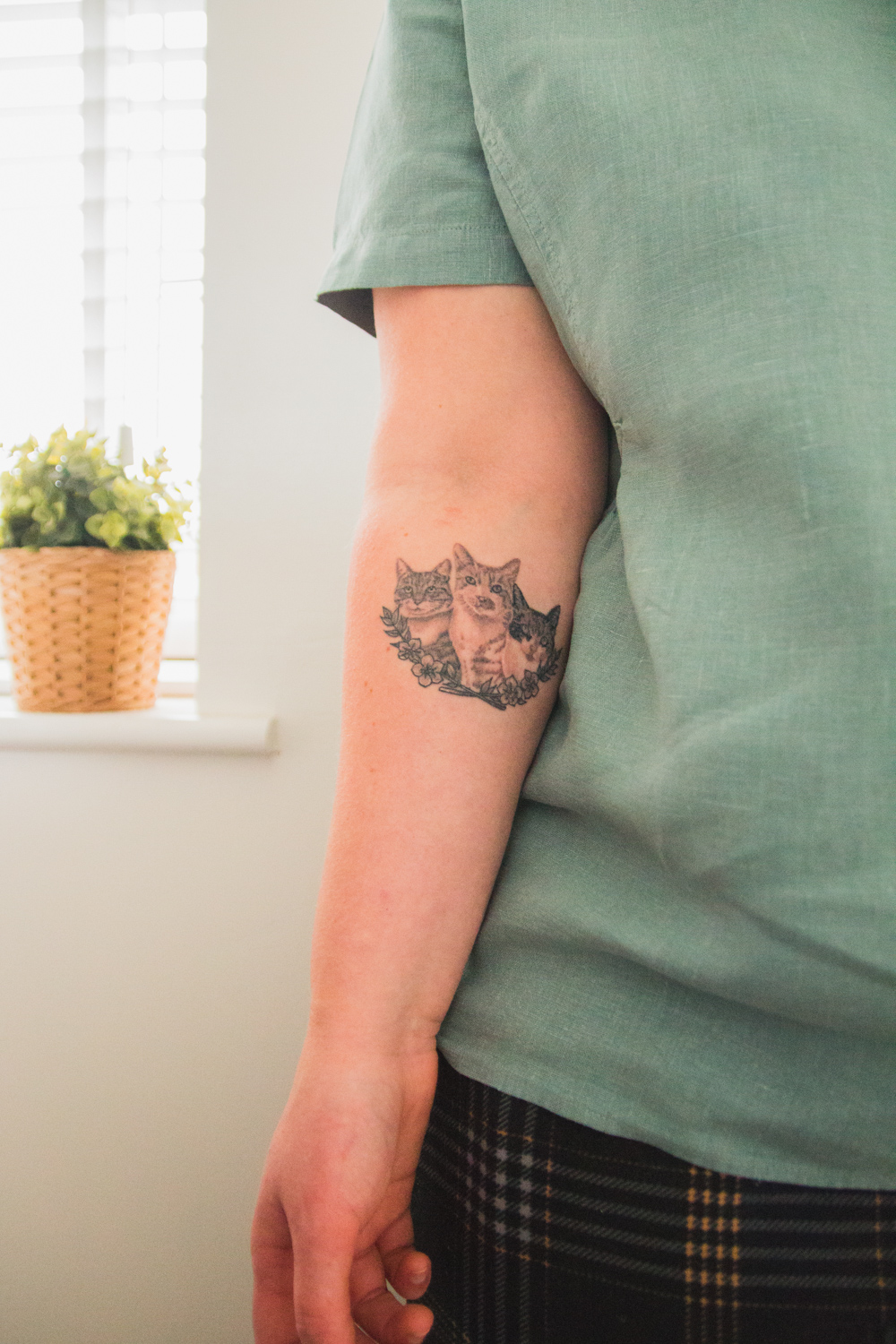 Three Cat Tattoo on Forearm