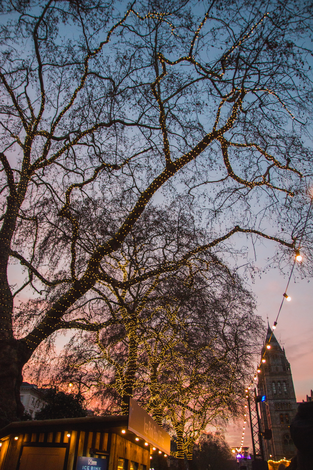 SKATE at Natural History Museum, London