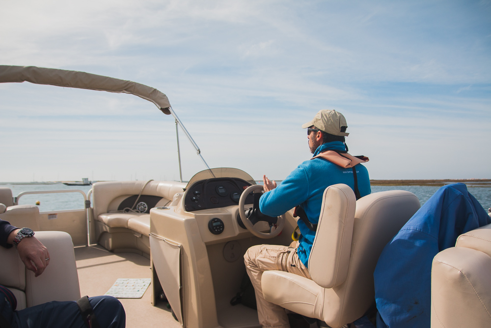 Take a Boat Trip to Ria Formosa Natural Park in the Algarve