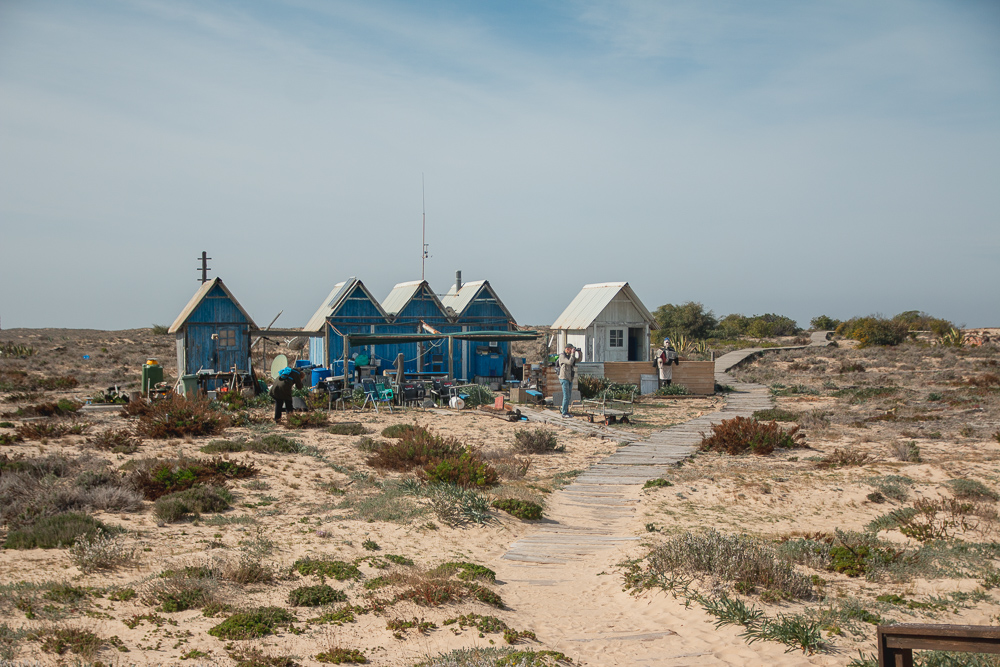 Boat Trip to Ilha Deserta (Barreta Island) Faro, The Algarve